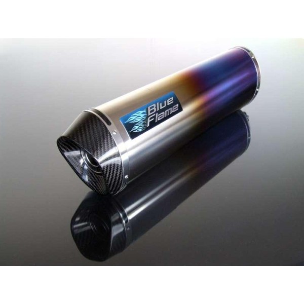 APRILIA RSV1000 MILLE 1998-2003 EXHAUST SILENCER MUFFLER COLOURED TITANIUM WITH CARBON TIP 