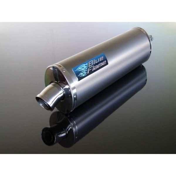 APRILIA RSV1000 MILLE 1998-2003 EXHAUST SILENCER MUFFLER TITANIUM SINGLE PORT 